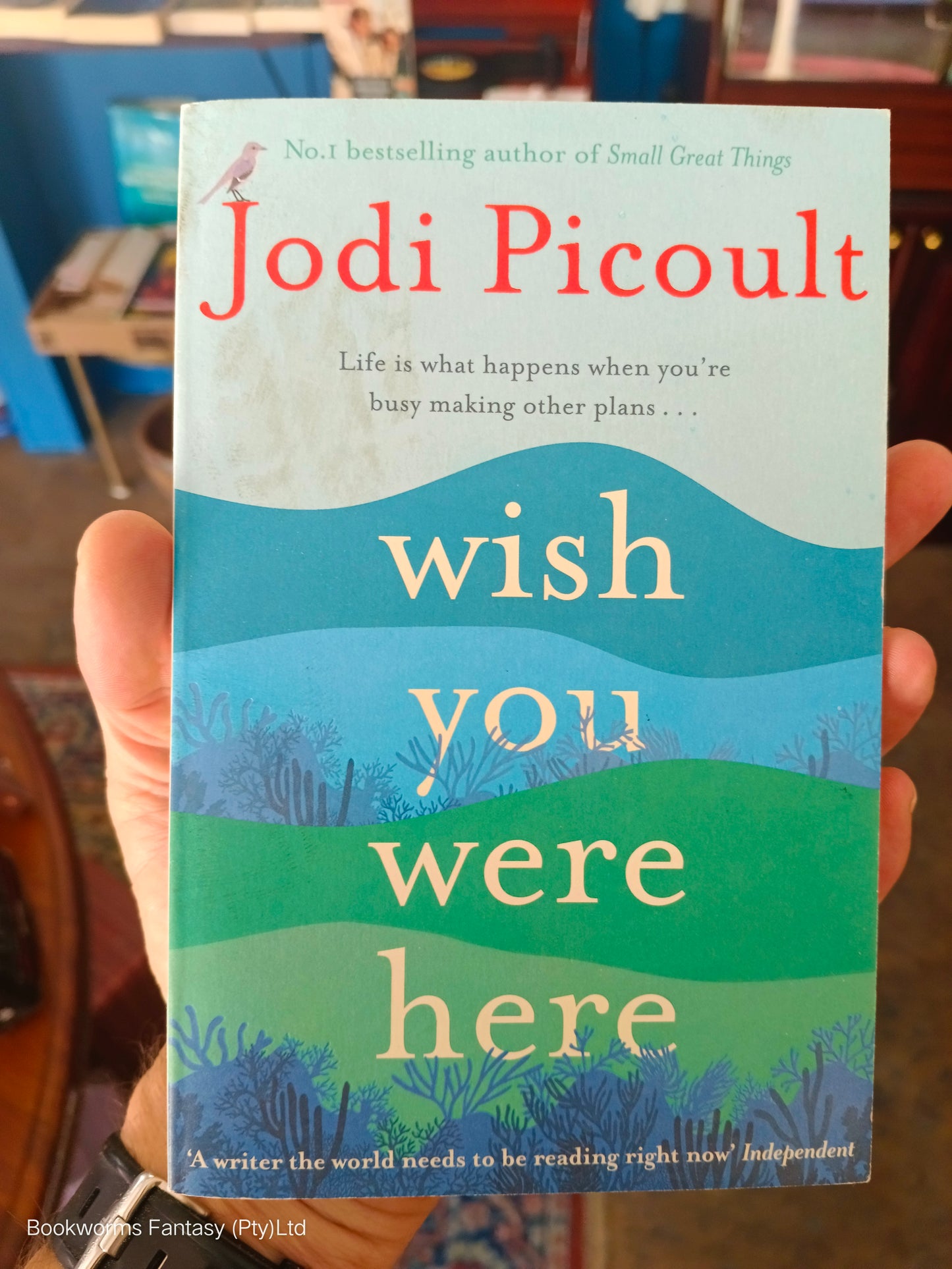 Wish You Were Here by Jodi Picoult