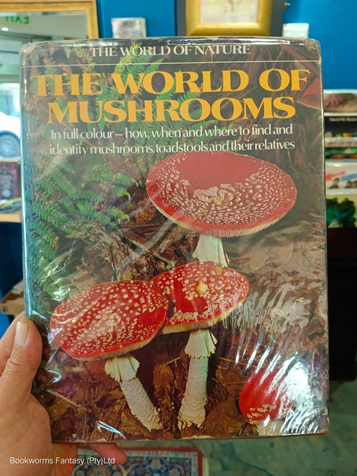 The World of Mushrooms by Ian Tribe