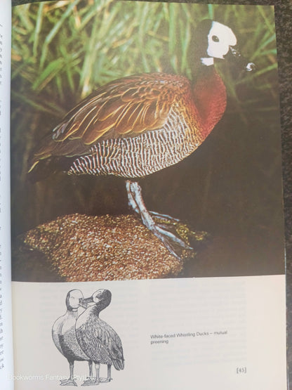 Wildfowl of the World by Eric Soothill & Peter Whitehead