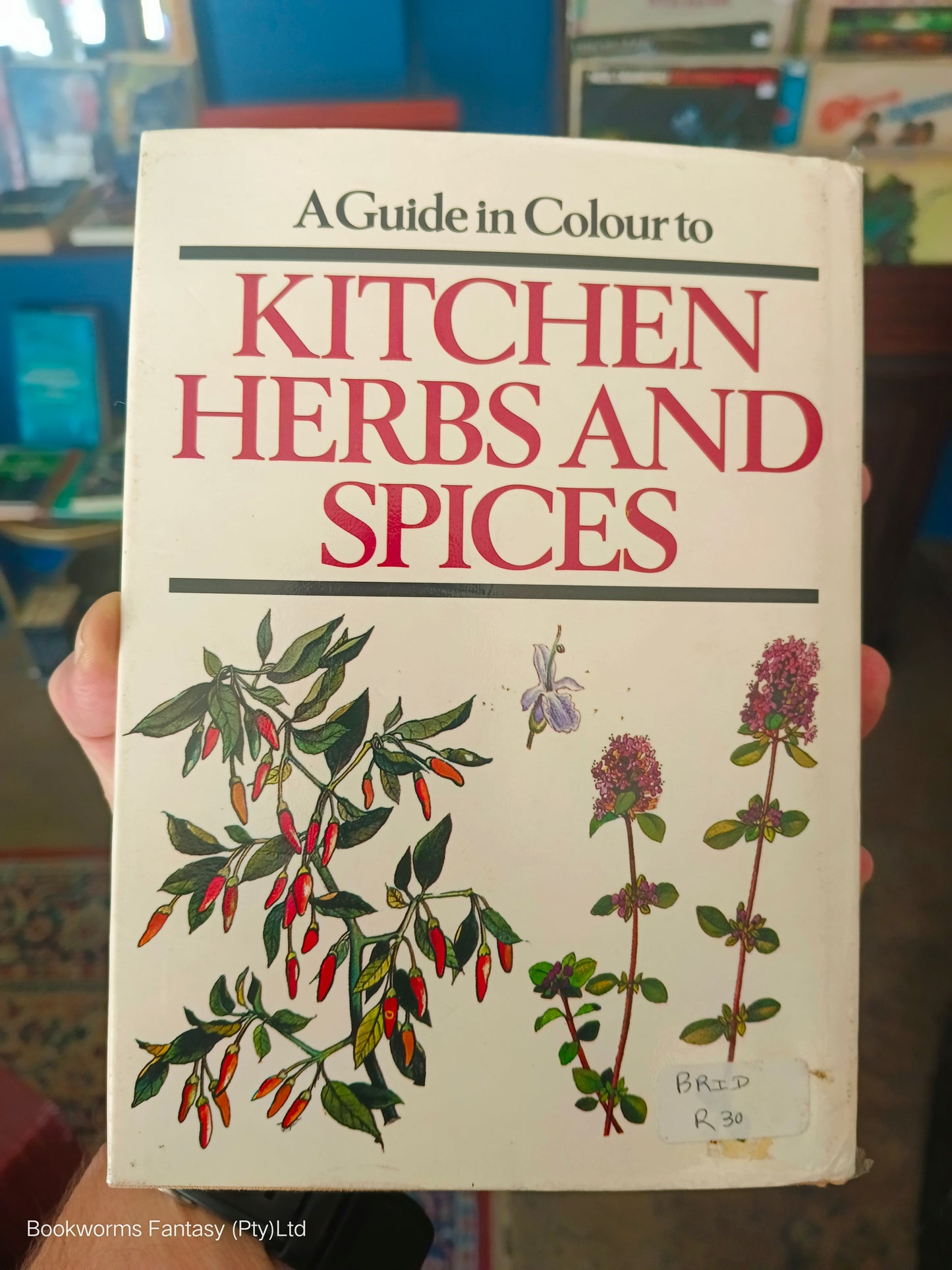 A Guide in Colour to Kitchen Herbs and Spices by Morag Neil (Editor)