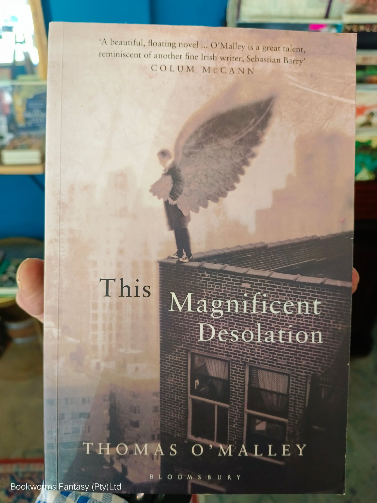 This Magnificent Desolation by O'Malley Thomas