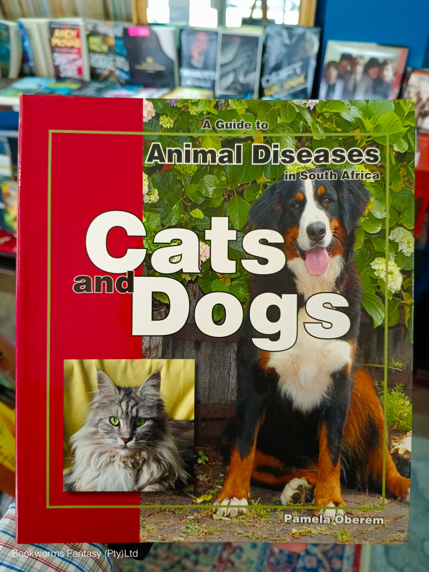 A Guide to Animal Diseases in South Africa - Cats and Dogs by Pamela Oberem