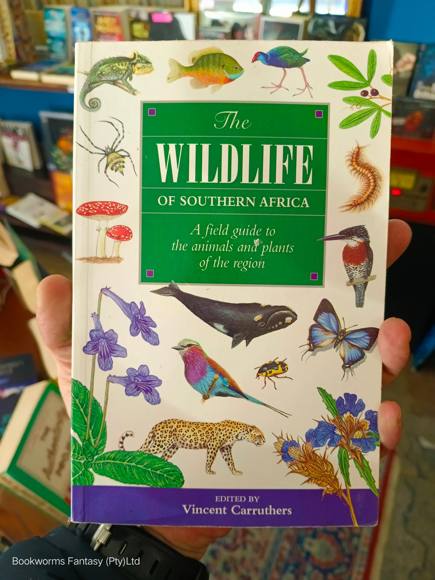 The Wildlife of Southern Africa by Vincent Carruthers