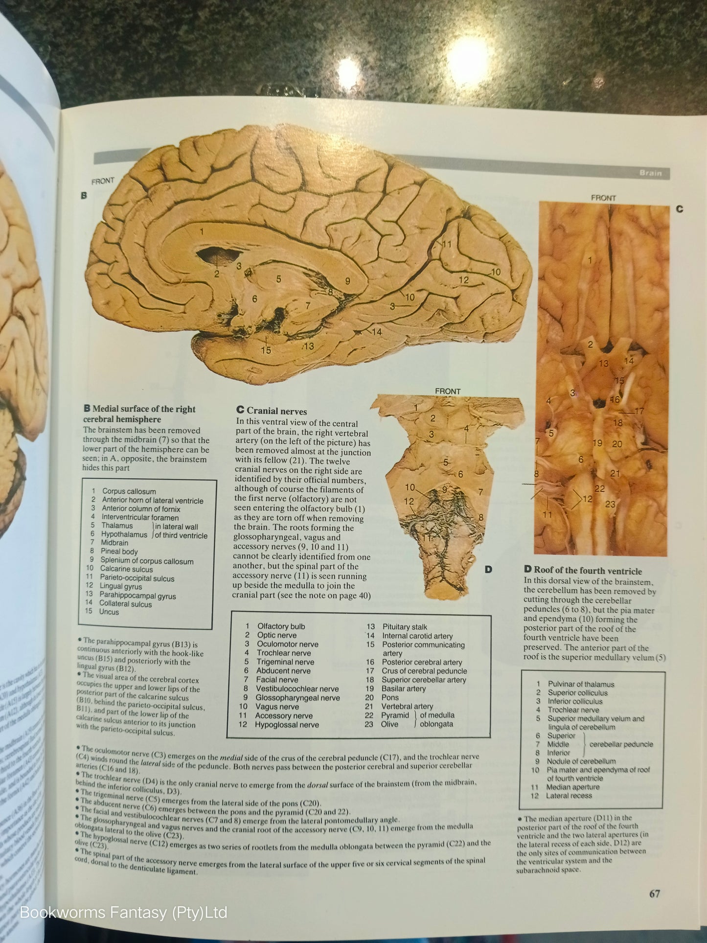 A Colour Atlas of Human Anatomy by Robert M.H. McMinn & Ralph T. Hutchings