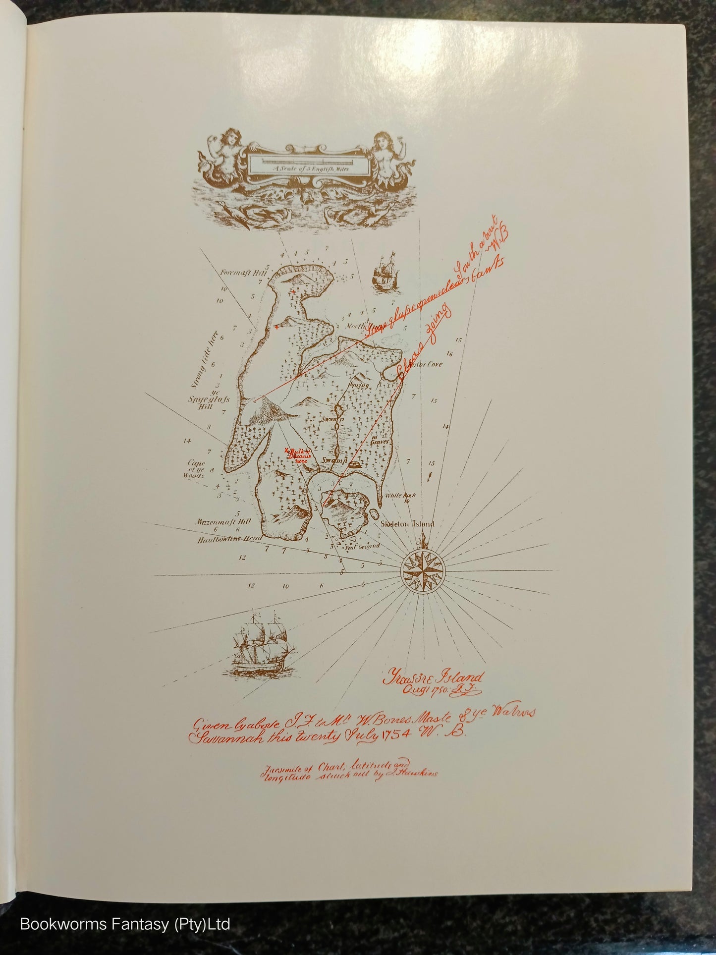 Treasure Island by Robert Louis Stevenson (ILLUSTRATED)