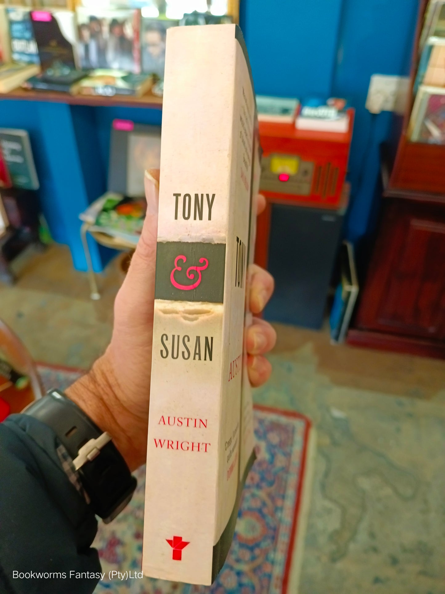 Tony and Susan by Austin Wright