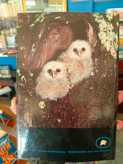 A Delight of Owls by Peter Steyn